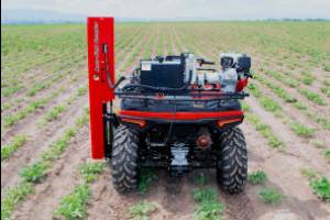 media\acfgallery\content\327\6\1_original